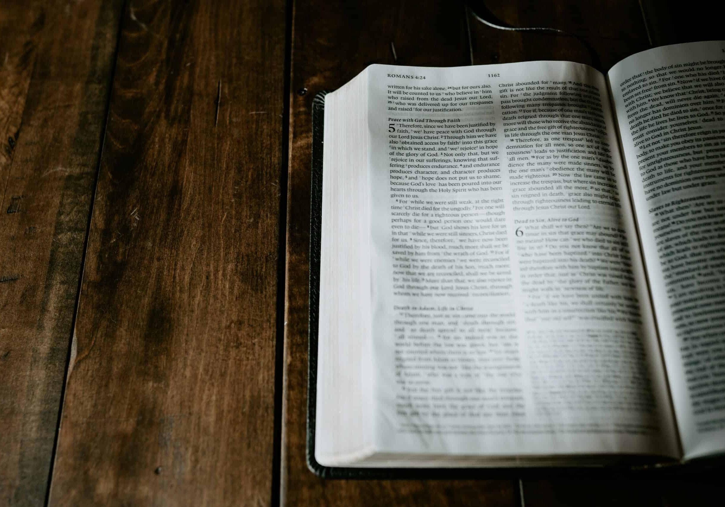 daniel-day-media-bzkf1nK-VPQ-unsplash daniel-day-media-bzkf1nK-VPQ-unsplash